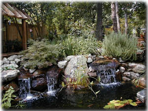 Kain's Pond
